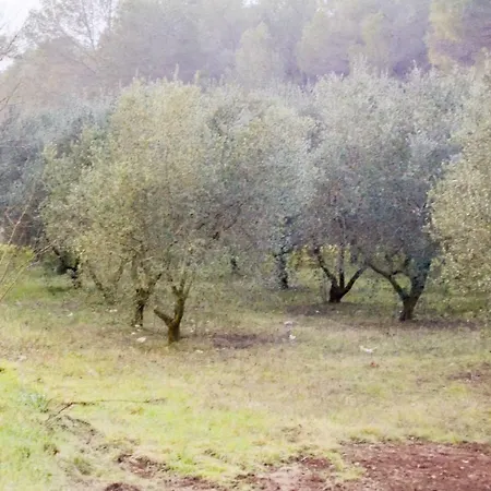 Masía Les Pasoles