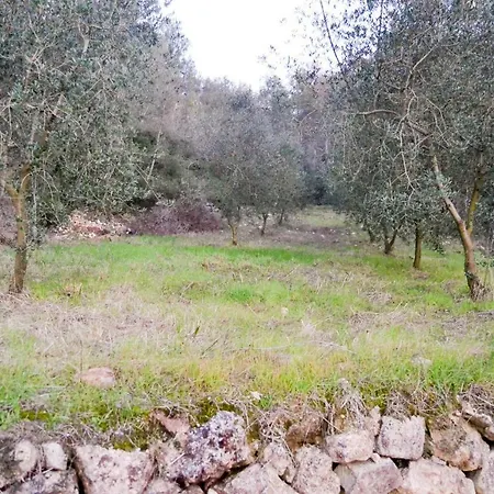 Masía Les Pasoles Canyelles (Catalonia)