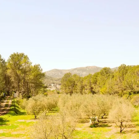 Masia Les Pasoles 度假居 卡涅利亚斯